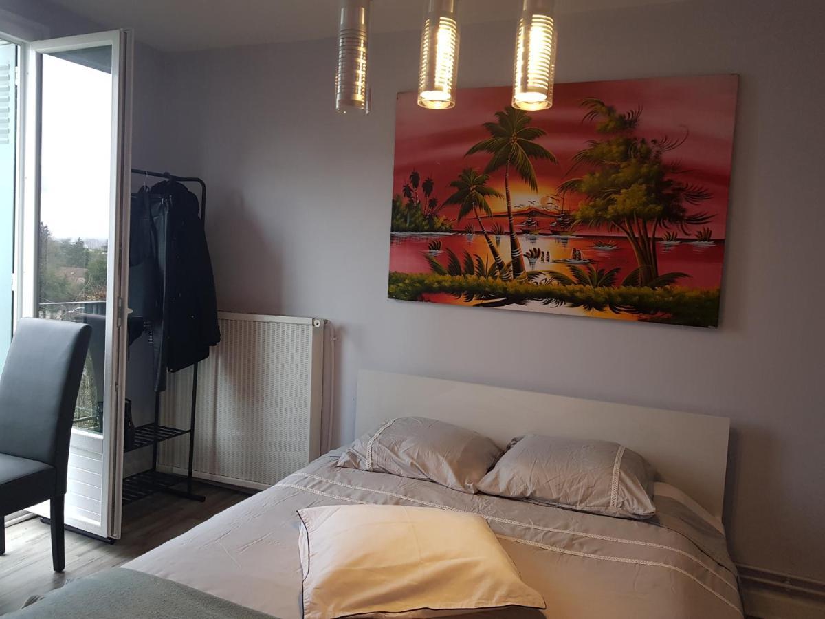 Chambres A Louer Dans Appartement Balcon - Wifi - Parking Gratuit Nevers Exterior foto